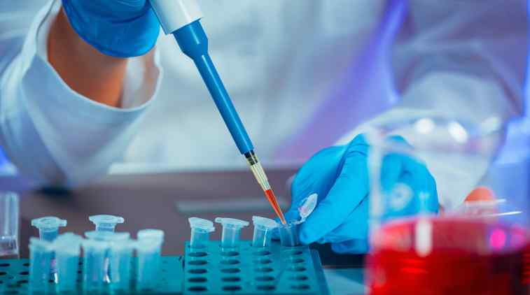 exame toxicológico o que pega
