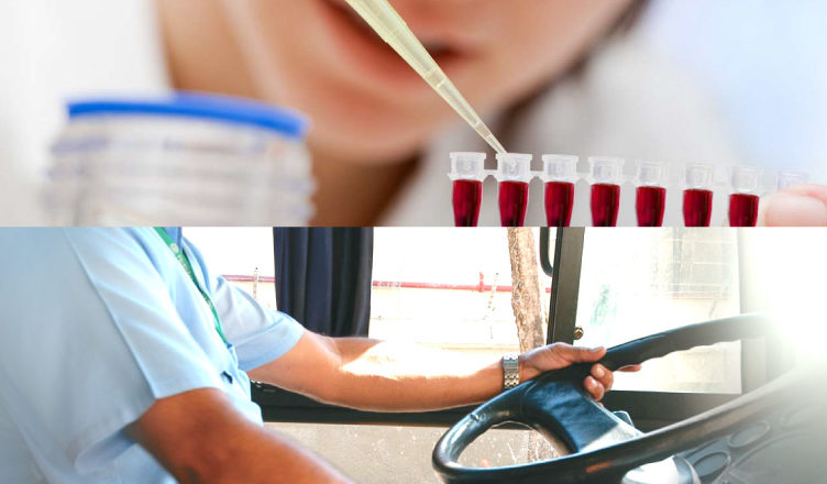 Exame toxicologico quanto tempo