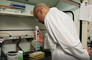 Cientista examinando amostra